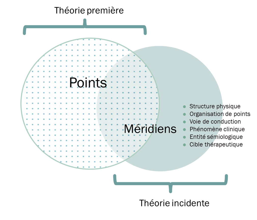 La théorie des points (l'action thérapeutique de la stimulation de points définis) est la théorie nécessaire et suffisante de l'acupuncture. La théories des méridiens est une théorie incidente, autonome. 