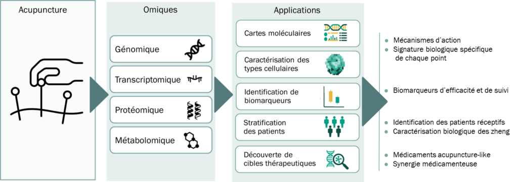 Acupuncture et approches omiques.