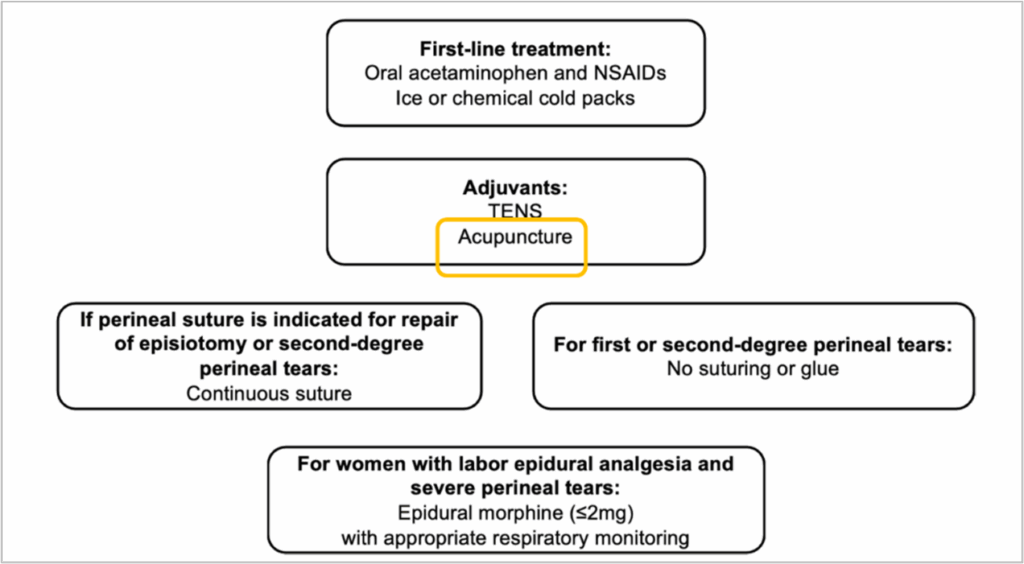 Figure 14 – Algorithme de prise en charge de la douleur après un accouchement par voie basse avec déchirure périnéale ou épisiotomie (ESRA, European Society of Regional Anaesthesia and Pain Therapy)